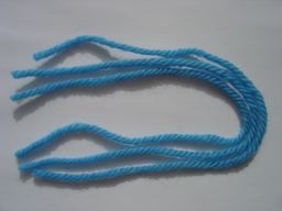 �t�����W�P