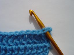 �t�����W�Q