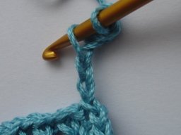 �s�R�b�g�҂݂R