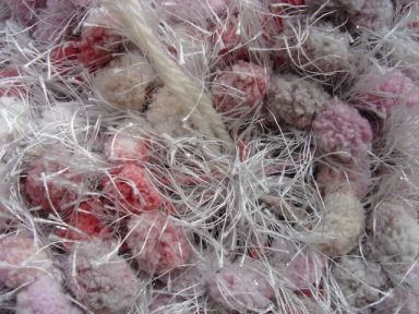 �|�C���g�U